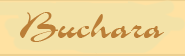 The Guide to Bukhara