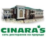 Cinara's